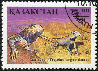 stamp printed in Kazakhstan shows lizard