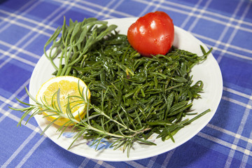 Motar, Mediterranean Sea fennel salad