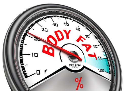 body fat conceptual meter