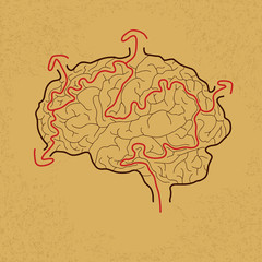brain maze with correct path , Vector EPS10