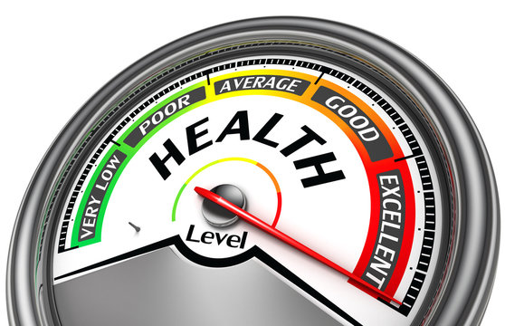 Health Level Conceptual Meter