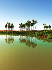 Obraz premium Beautiful natural background - African oasis