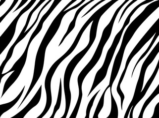 Fototapeta skin zebra obraz