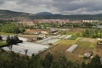 Irunea