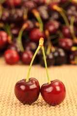 sour cherries cherry