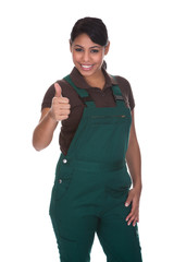 Fototapeta premium Young Female Gardner Offering Handshake