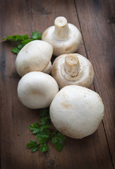 Funghi - Mushrooms