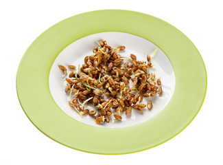 Wheat germs on plate isolated on white