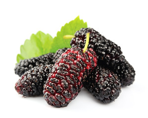 mulberry with leaves