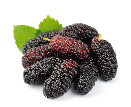 Ripe mulberry with leaves