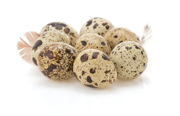 Obraz premium quail egg on white