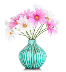 Beautiful daisies in colorful vase isolated on white