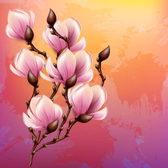 Fototapeta premium Magnolia branch watercolor illustration