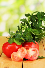 Fresh tomatoes and young plant