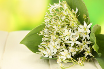 Beautiful mountain daffodils in  color vase,