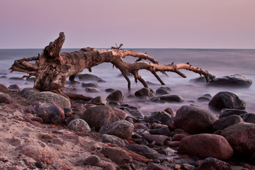 morning at the sea. stones in the water 