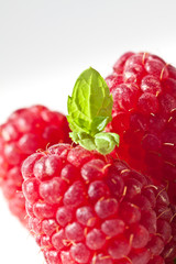 Raspberry fruit closeup isolated on white background 