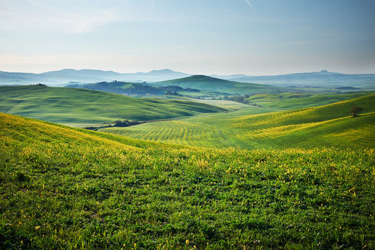 morning on countryside in Tuscany