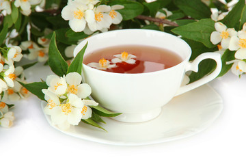 Cup of tea with jasmine, isolated on white
