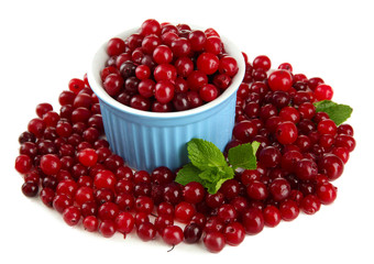 Ripe red cranberries in bowl, isolated on white.