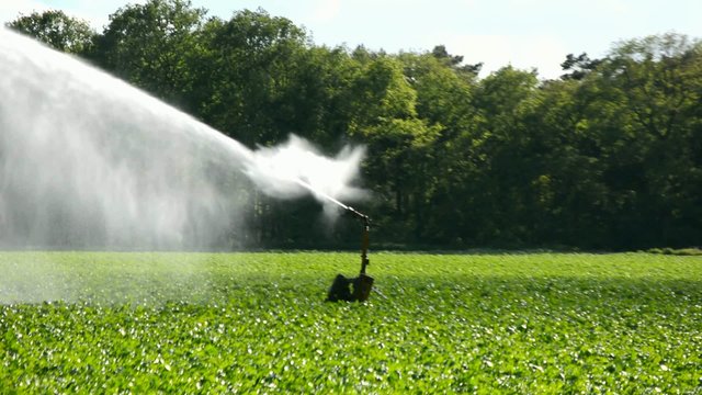 Wassersprenger in der Landwirtschaft