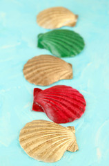 Colorful seashells on color wooden background