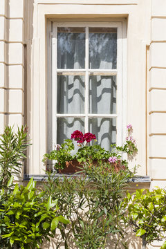 Wooden window in the wall, pot with blooming flowers.