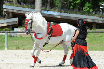 spectacle équestre