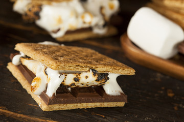 Homemade S'more with chocolate and marshmallow