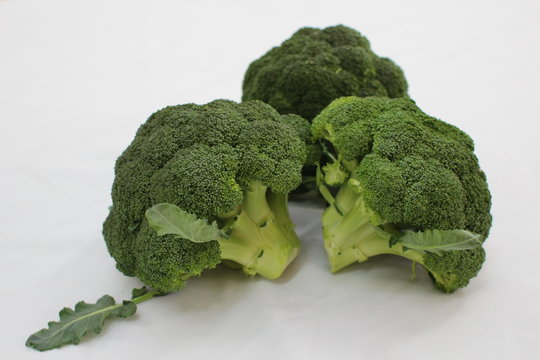 Brocoli Fresco