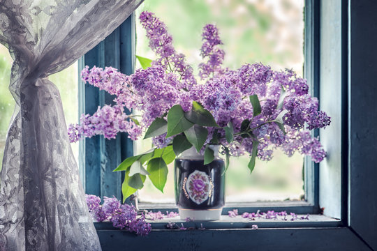 lilac