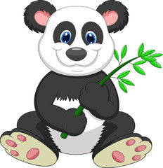 Fototapeta premium Giant Panda eating bamboo