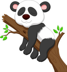 Naklejka premium Sleeping panda