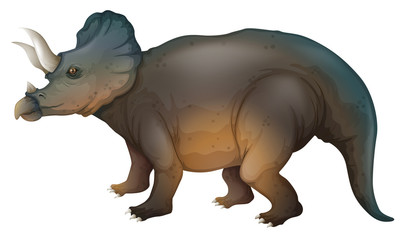 Triceratops