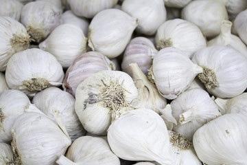 White Garlic