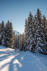 Sunny Ski Slope near Megeve in French Alps, France