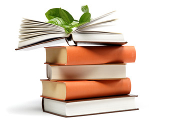A stack of books and green branch of lemon on a white background