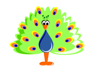 A Cute Cartoon Peafowl on a white background