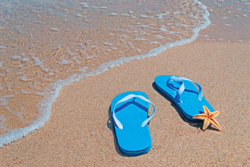 starfish and flip-flops