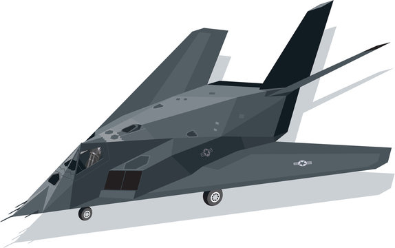 F-117 Nighthawk Stealth Fighter