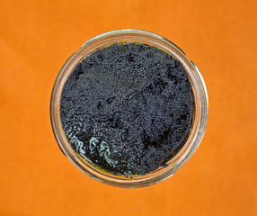 Black caviar in jar