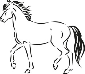 Obraz na płótnie Canvas trotting horse
