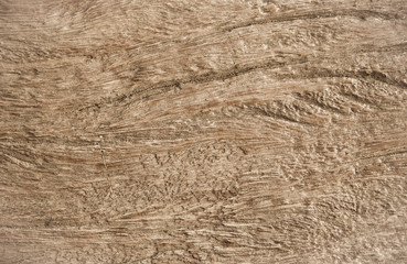 Dark wood texture
