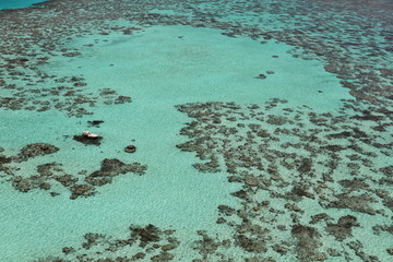 Transparent waters of tropical reef
