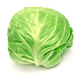 Fototapeta premium Cabbage