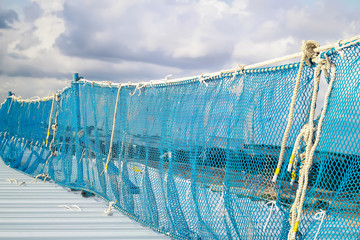 safety net