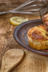 Domestic delicious baking