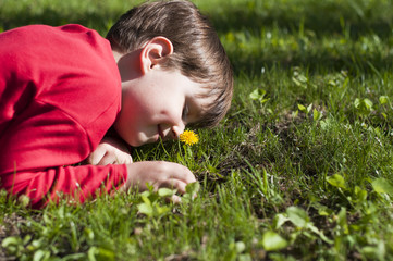 Beautiful child picks flowers on a summer green meadow