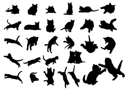 cat vector icon collection