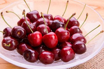 アメリカンチェリー